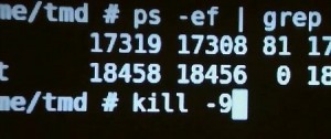 Using kill -9 as the superuser on UNIX.
