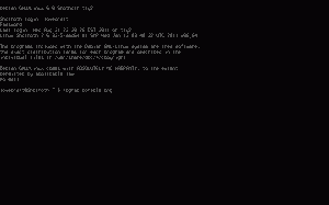 The Linux virtual terminal in action.