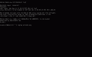 The Linux virtual terminal in action. The Linux virtual terminal in action.