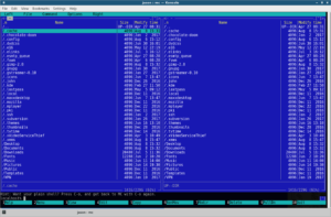 Midnight Commander file manager view.