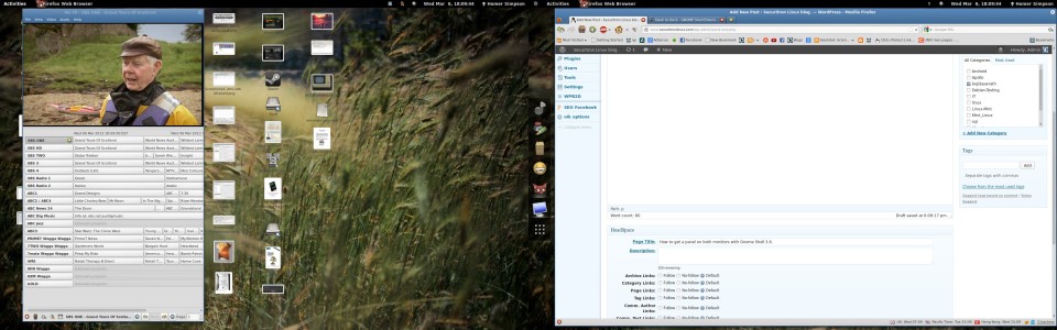 Gnome Shell desktop with dual panels.