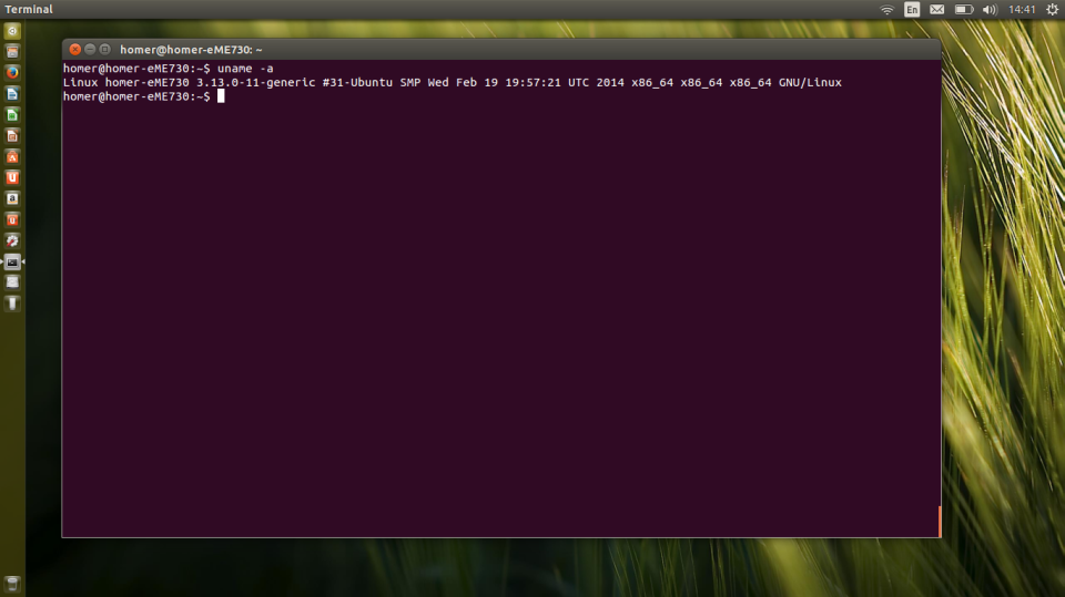 Ubuntu 14.04 Unity desktop.