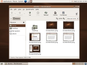 Old Ubuntu 5.10 desktop.