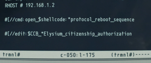 rhost root shell on an Elysium computer.