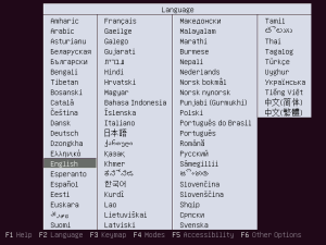Ubuntu server language screen.