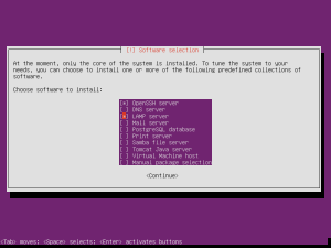 Choosing Ubuntu server roles to install.