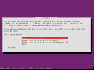 Ubuntu server partitioning screen.