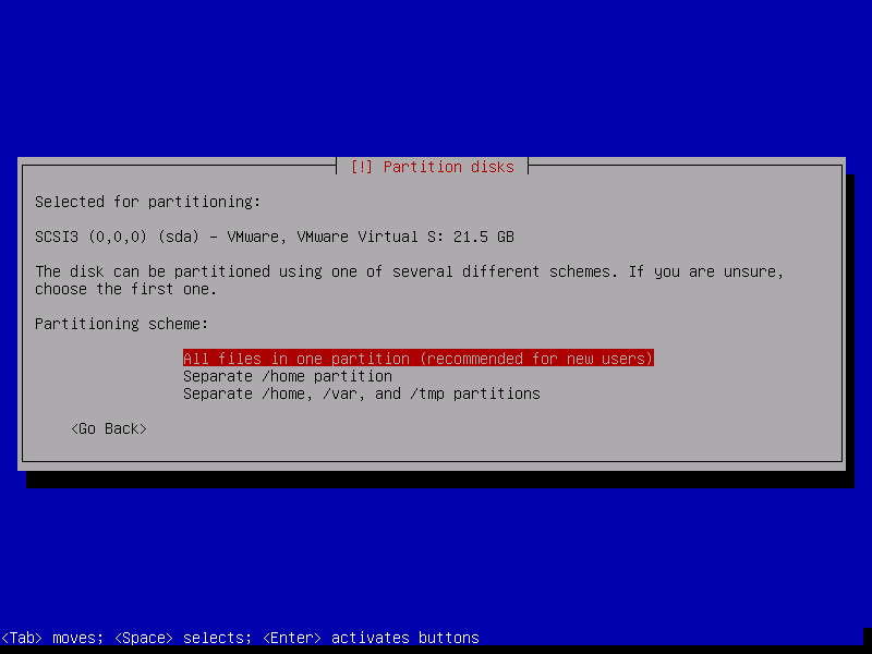 Debian 8 partitioning options.