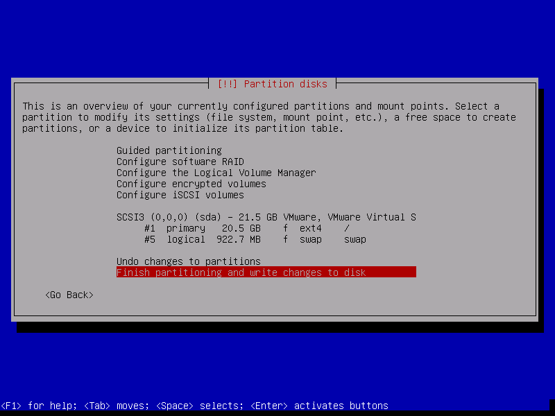 Debian 8 netinstall. Reviewing partitioning options before pressing enter.