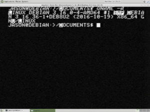 Linux terminal that looks like an Apple II using an RF adapter.
