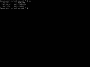 Linux Mint 18.1 Virtual Terminal.