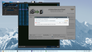 xVideoServiceThief ready to download a Youtube video.