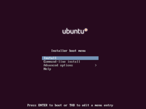Ubuntu Mini boot screen.
