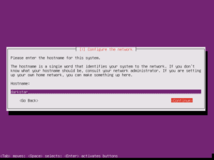 Setting a hostname for our new Ubuntu installation.