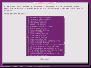 Selecting the Ubuntu desktop environment and associated software.