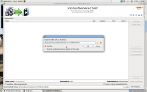 xVideoServiceThief ready to download a Youtube video.