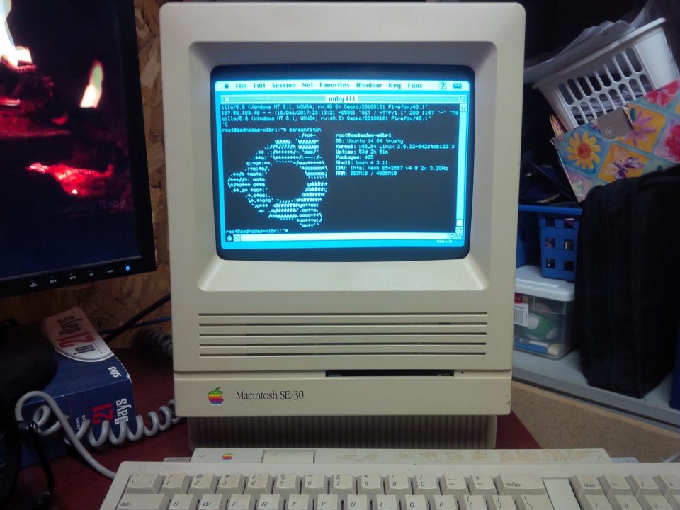 Using an old Apple II machine as an SSH terminal to connect to a Debian server.