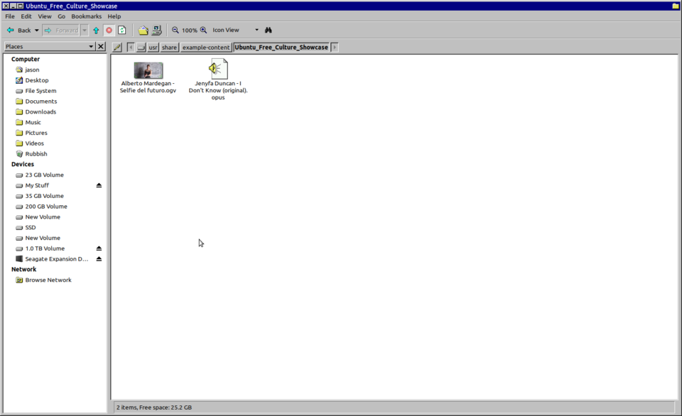 Caja file manager with Windows `95 theme.