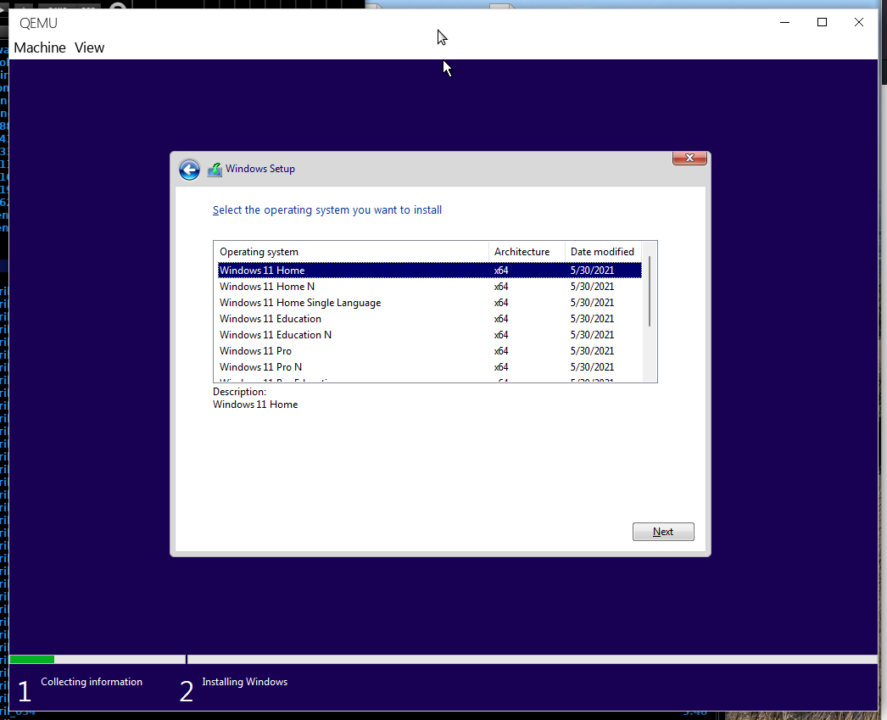 Windows 11 installer, I chose Windows 11 pro.