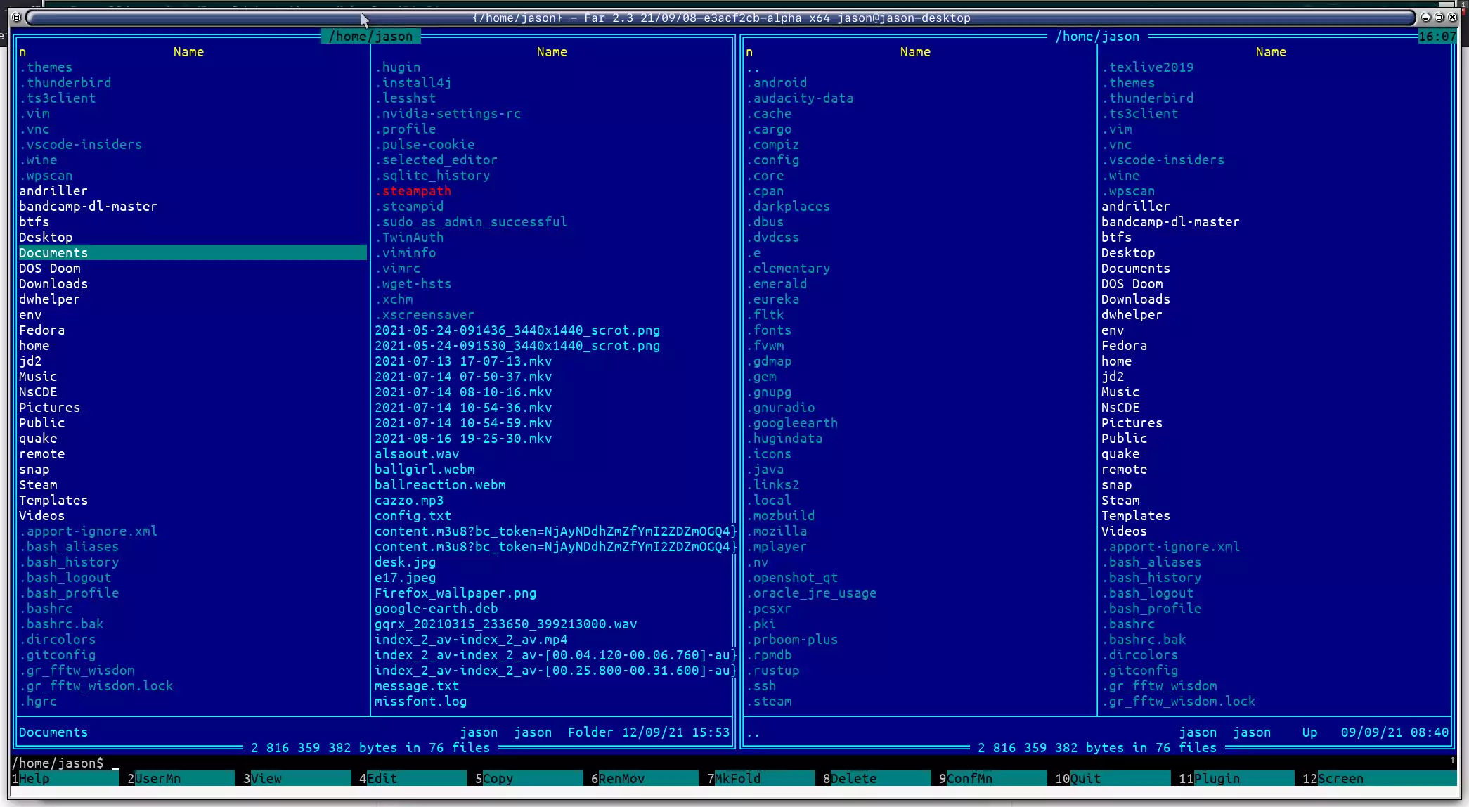 Far 21 file manager running on Linux.