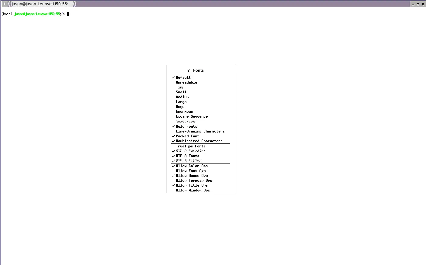 An Xterm window with the VT Fonts menu open.