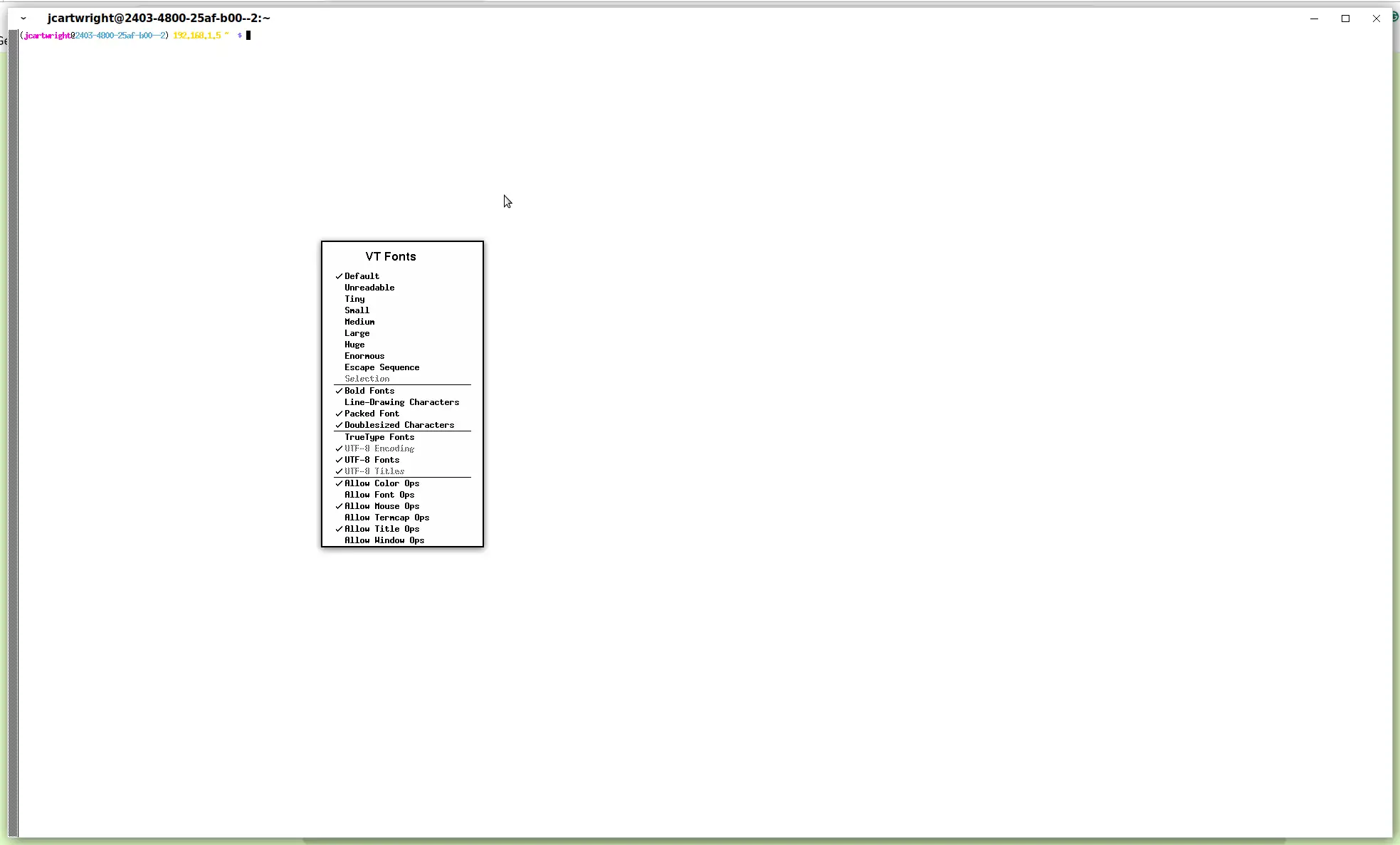 Xterm VT Fonts menu.