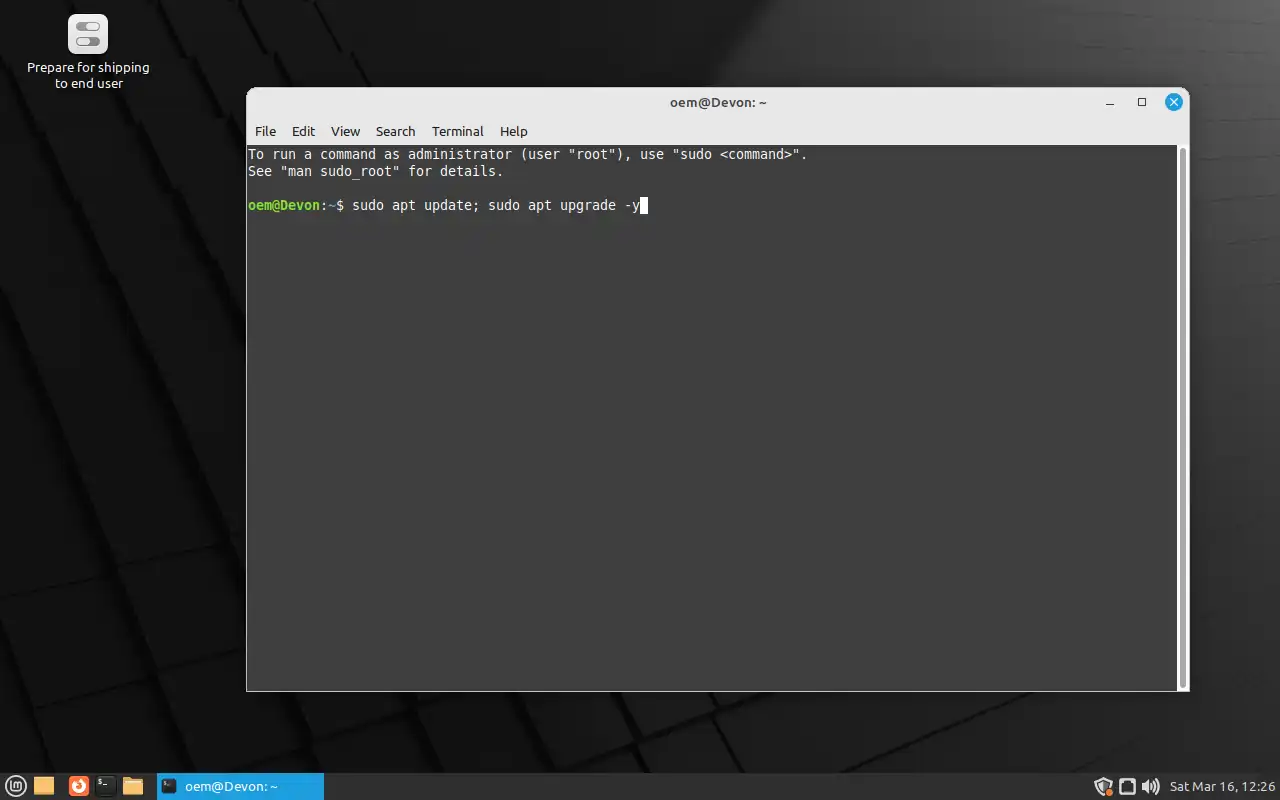 Installing pending updates in Linux Mint.